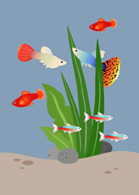 ตู้ปลาเสมือนจริง!(โมรันดี บลู)