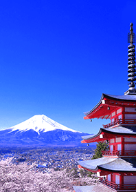 新倉山浅間公園の桜と富士山
