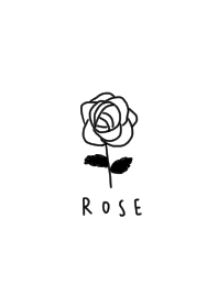 white. Rose. simple.