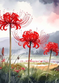 Rainy sky and red spider lilies Vol.1