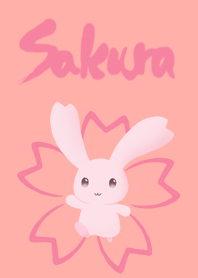 Sakura rabbit R