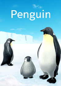 Penguin ~ ペンギン