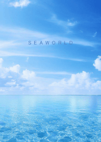 SEA WORLD-Clear Blue 43