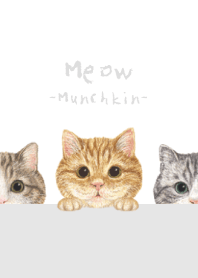 Meow - Munchkin - WHITE/GRAY