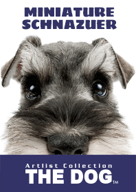 THE DOG Miniature Schnauzer 2