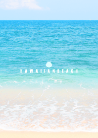 HAWAIIAN BEACH -MEKYM- 12