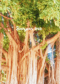 Hawaiian Banyan tree theme