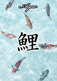 あやお用和風鯉