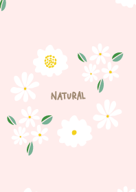 Small white flower cute23 from Japan