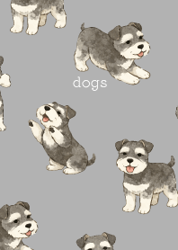 white 犬は癒してくれる06