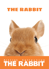 THE RABBIT 2