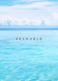SEA WORLD-Hawaii 80
