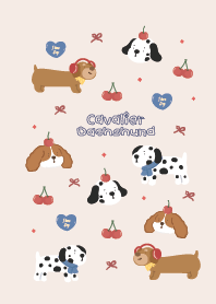 Dachshund and Cavalier : Minimal