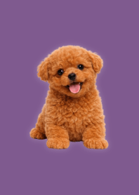 Tema Toy Poodle Boneka Purple 05