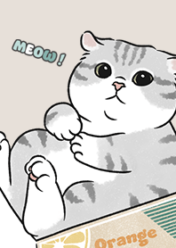 neko single15 - dark beige