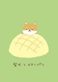 柴犬とメロンパン