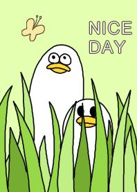 Nice Day hattoyi & torii