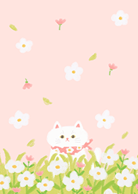 White Cat in Flower Field - Pink