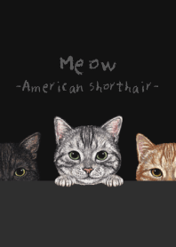 Meow - American Shorthair - BLACK/GRAY