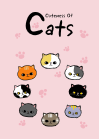 Cuteness of cats
