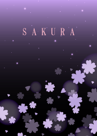 Cherry blossoms at night....9