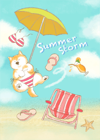 Shiba-Summer Storm