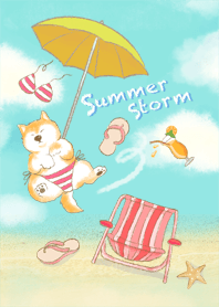 柴犬Summer Storm
