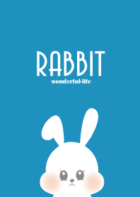 Cute rabbit.