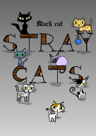 STRAY CATS -Black cat-