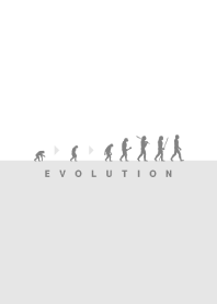 EVOLUTION - WHITE/GRAY