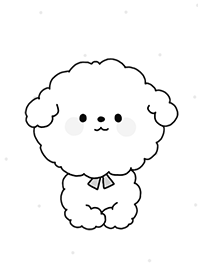 my puppy Bichon _black