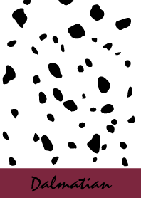 Dalmatian -Winered-