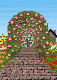 My favorite garden