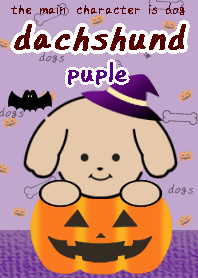Halloween dachshund theme purple