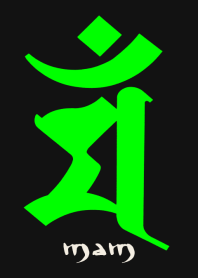 BONJI zodiac [maM] BLACK GREEN (0688