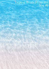 Tropical Beach Photo 273 Not AI