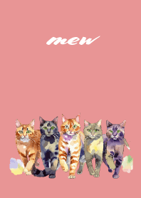 five cats on light pink