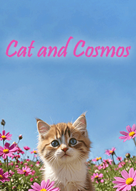 Cat and Pink cosmos-autumn blue sky(fix)