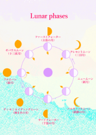 The phases of the moon Pink