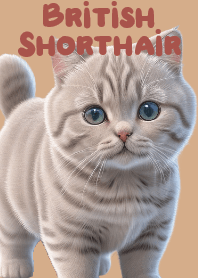 迷人的虎斑喵喵貓 VOL.7