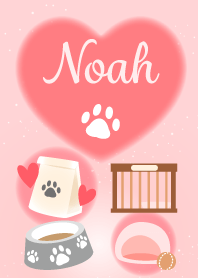 Noah-economic fortune-Dog&Cat1-name