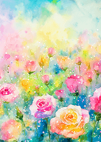 Beautiful rose flower(R5723)