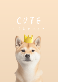 CUTE! - Shiba Inu RD - crown/pale orange