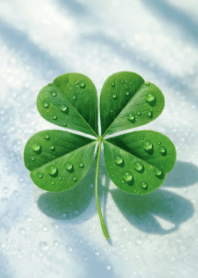 ใบโคลเวอร์แห่งความสุขสมหวัง V.32