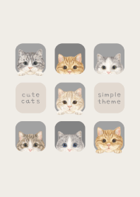 CATS - Munchkin - ASH GRAY