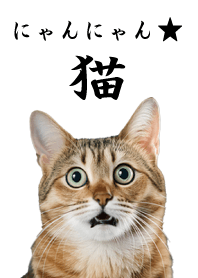 にゃんにゃん★猫-ホワイト