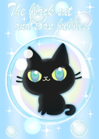 A black cat and soap bubbles