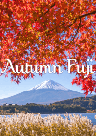 Autumn Fuji