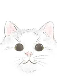 Cat lover theme