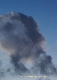 I've covered my feelings.